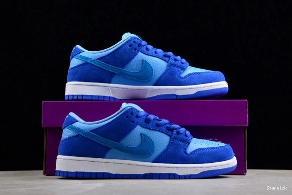 Low Nike Raspberry Dunk SB DM0807-400 Blue 0121